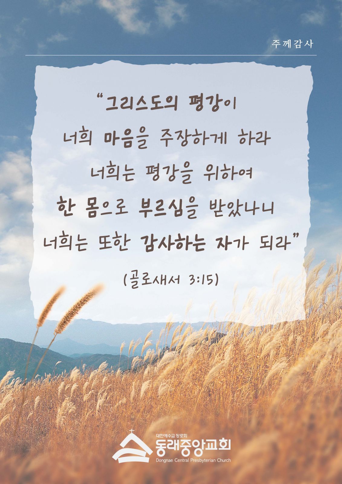 제목을 입력해주세요.jpg