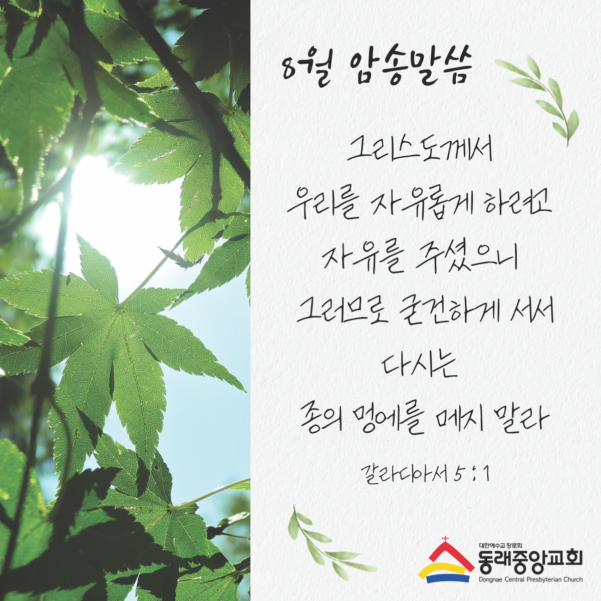 제목을-입력해주세요_ (1).png